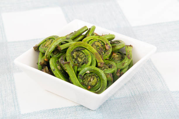 cooked ostrich fiddleheads ferns with garlic cooked ostrich fiddleheads ferns with garlic fiddle head stock pictures, royalty-free photos & images