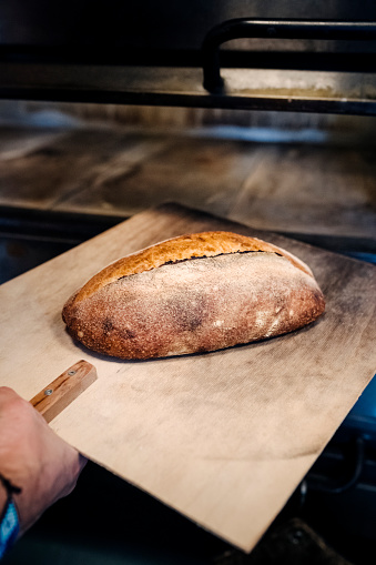 Freshly baked sourdough loaf coming out of the oven. Sourdough bread is known for its characteristic flavour because it does not use a conventional yeast as a rising agent, instead a fermented culture of flour and water is used. The resultant bread has a chewy texture and a crisp crust. Photographed at an organic bakery on the island of Møn in Denmark. Colour, vertical format with some copy space.