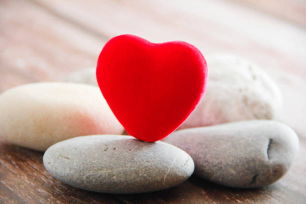 istock red velvet heart on gray stones 1313475119