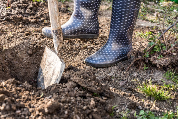 istock Woman in Rubber Boots Digging in the Garden 1313476576