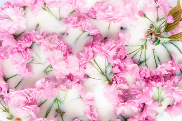 istock Pink cherry blossom flower on white water background, in bloom flowers, springtime. Texture 1313480371