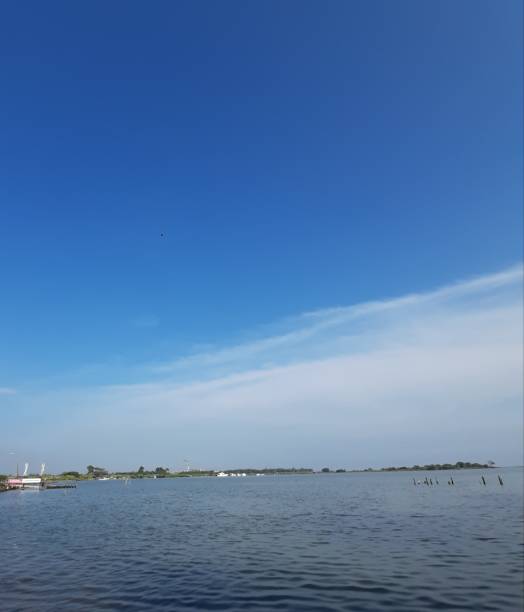 istock Morning View of The Beach 1313480757