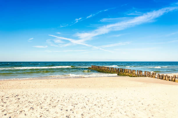 istock beauty of nature landscape 1313486241