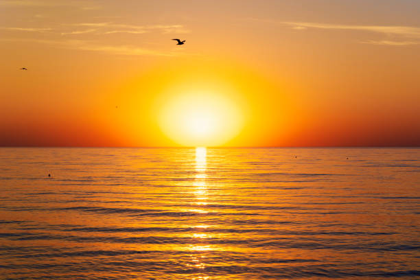 istock beauty of nature landscape 1313486336