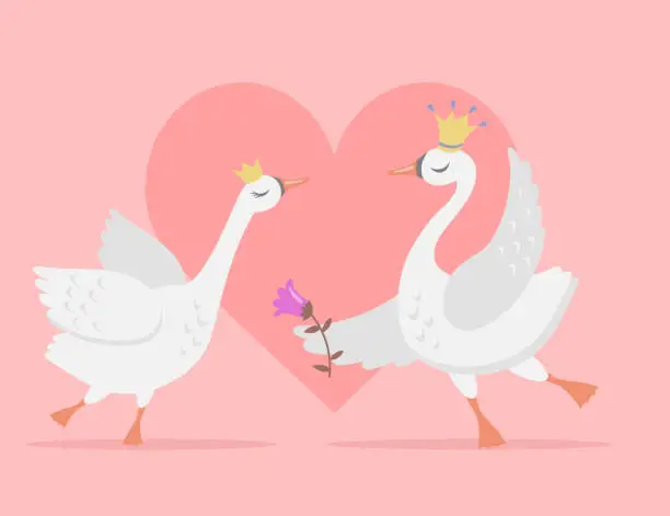 Vector illustration of Couple of white swans in love cartoon vector illustration