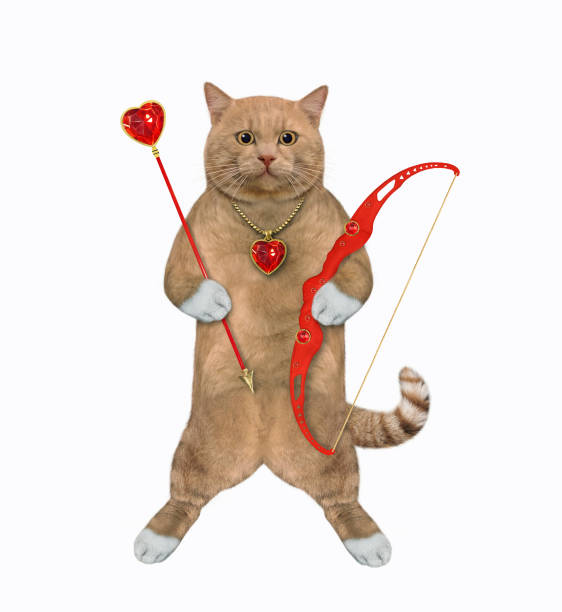 istock Cat reddish holds arrows and bow 1313502165