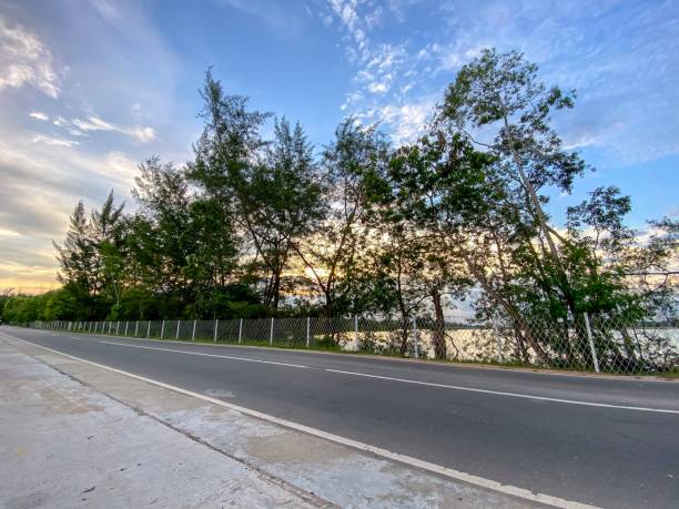 View of Street with trees and sky