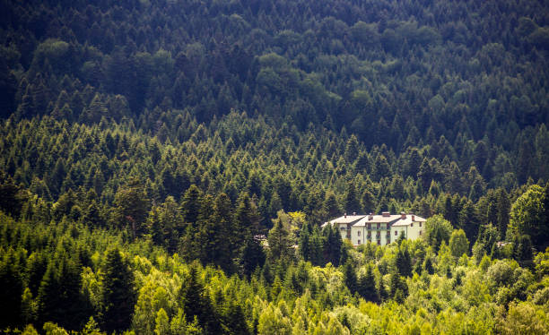 a big cottage in the ukrainian Carpathian spruce forest, national park Skolevski beskidy, Lviv region of Wstern Ukraine