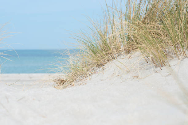 Baltic sea dunes over blue coastline background in Northern Germany