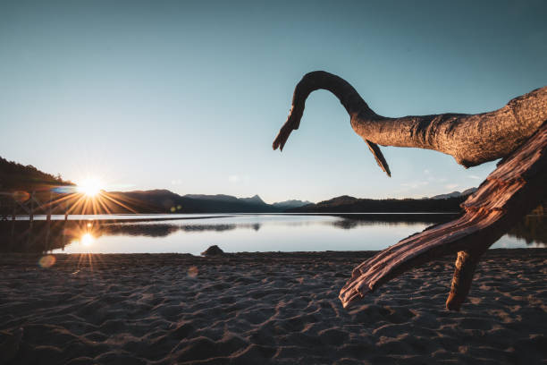 puesta de sol en la playa del lago espejo en la patagonia argentina, en el camino a los 7 lagos. - bariloche lagos patagonia number 7 fotografías e imágenes de stock