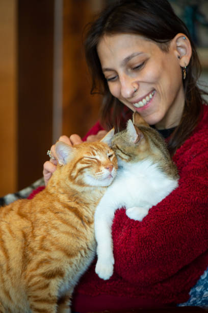 istock Woman playing with her cats at home 1313505627