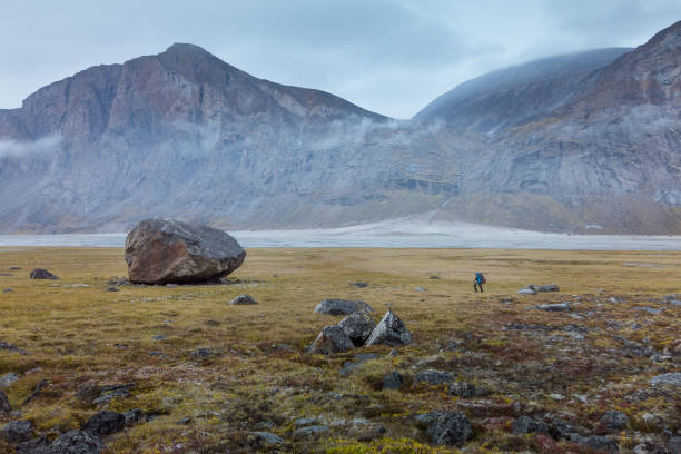 在多雲的雨天，徒步旅行者在偏遠的北極山谷中被一塊大石頭相形見絀。加拿大巴芬島阿克沙尤克山口的壯麗北極景觀。秋天顏色的草和青苔。 - 努勒維特地區 個照片及圖片檔