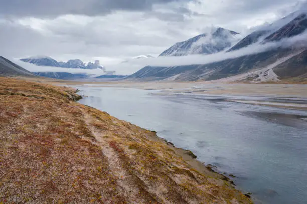 Photo of Dramatic landscape of wild, remote valley in the far north on a cloudy, rainy day. Mount Asgard in the distance. Haze and autumn colors on the banks of Owl river.