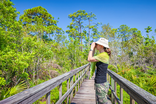 Woman looks for birds through a binocular in the Everglades, Florida, USA.