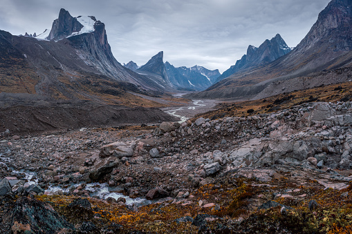 Wild Weasel river winds through remote arctic valley of Akshayuk Pass, Baffin Island, Canada on a cloudy day. Dramatic arctic landscape with Mt. Breidablik and Mt. Thor. Autumn colors in the arctic. Wild north.