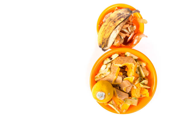 istock Kitchen organic waste. Peels from fruits and vegetables. Kitchen waste with copy space 1313510134