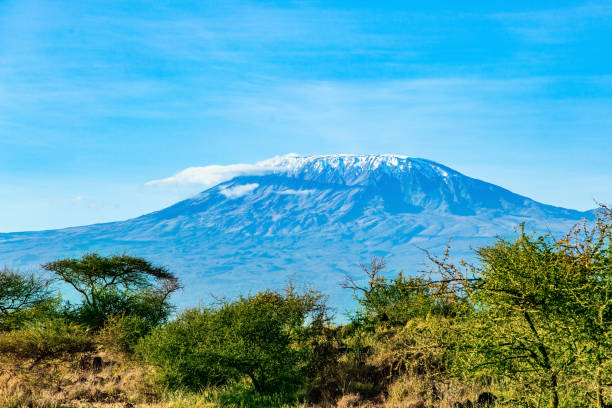 istock The famous Mount Kilimanjaro 1313511850