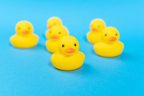 istock yellow rubber ducks on a blue background. Minimal summer concept. 1313513982