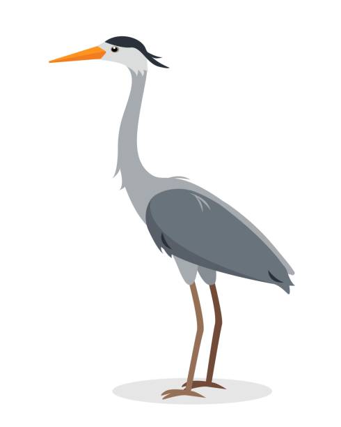 stehende heron vogel-symbol für natur-design. - egret water bird wildlife nature stock-grafiken, -clipart, -cartoons und -symbole