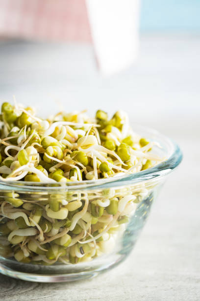 istock Sprouted green mung beans. Mung sprouts. 1313515866