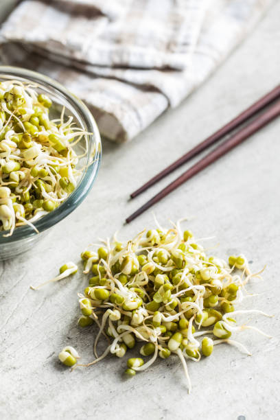 istock Sprouted green mung beans. Mung sprouts. 1313515875