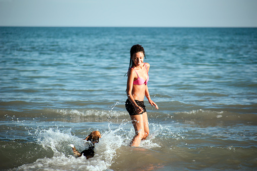 Happy girl with afro hairstyle, playing with a dog on the beach