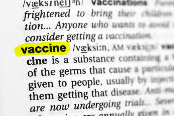 istock Highlighted word vaccine concept and meaning 1313516786