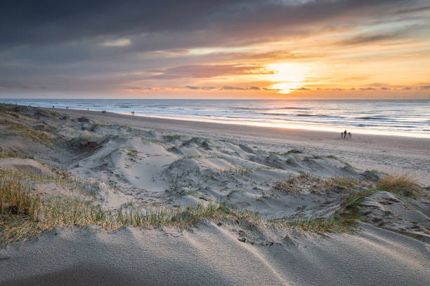 istock view on dunes by North sea beach at sunset, Netherlands 1313517970