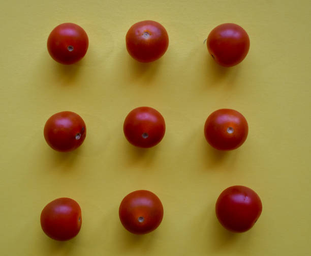 istock Cherrys tomatoes with yellow background 1313518153