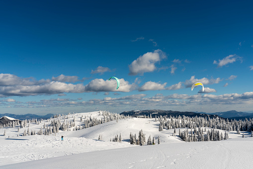 Idyllic winter landscape on a pasture plateau high up Velika Planina. Two skiers practicing Para-ski against blue sky on suny day. Velika planina, Big Pasture Plateau in Slovenia, Europe,
