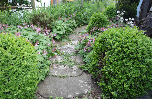 istock Garden path with natural sandstones between flower beds 1313523385