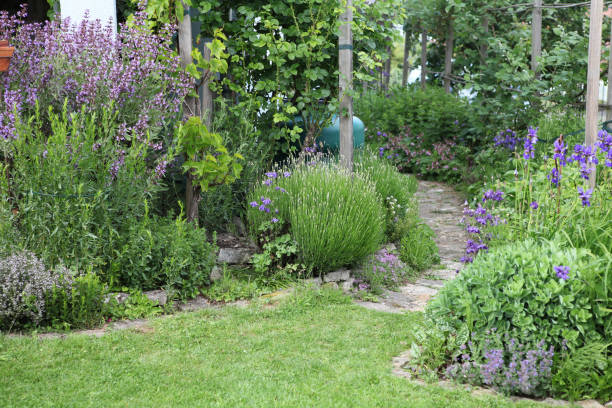 istock Garden path with natural sandstones between flower beds 1313523418