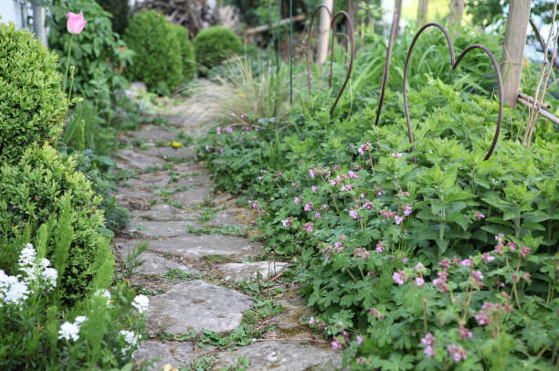 istock Garden path with natural sandstones between flower beds 1313523427