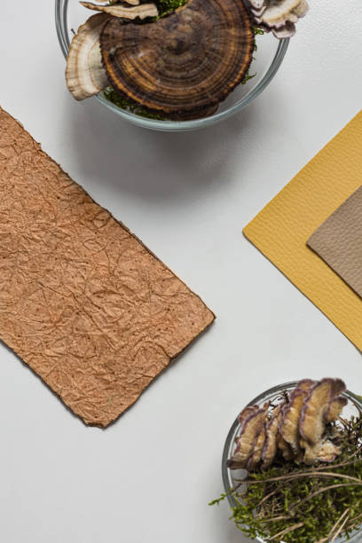 istock Vegan leather sample, leather from mushroom mycelium, eco friendly concept alternative bio leather top view 1313524746