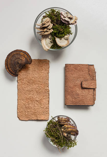 istock Vegan leather wallet made from mushroom mycelium, vegan bio leather samples top view, eco friendly concept 1313524850
