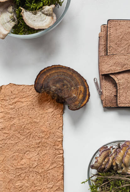 istock Vegan leather wallet made from mushroom mycelium, vegan bio leather samples top view, eco friendly concept 1313524863
