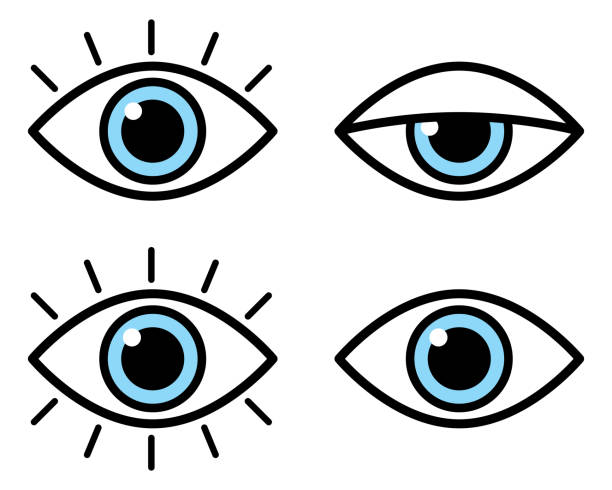 ilustrações de stock, clip art, desenhos animados e ícones de four outline blue eyes - vector spy surveillance human eye