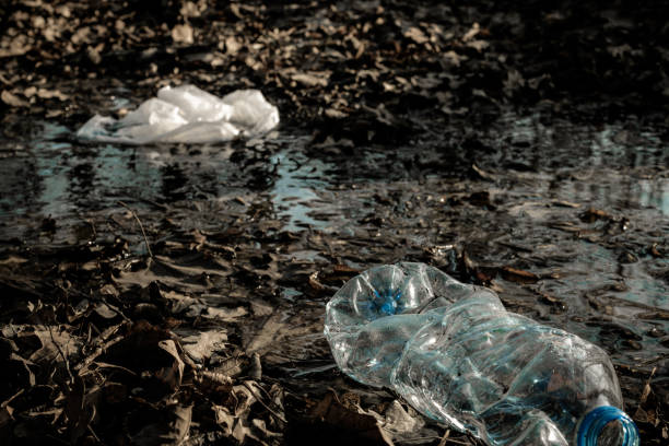 istock Waste management. Plastic trash in environment forest. Rubbish garbage in woodland. Save nature Ecology and pollution concept. 1313531635