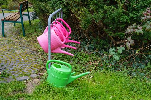 Three pink watering cans hang on a metal bar and one green one is on the grass. Bench in the background.