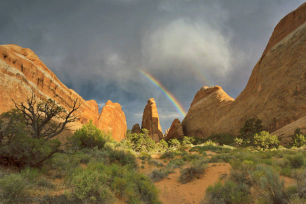 istock Rainbow over Devil's Garden in Arches National Park in Utah 1313535278