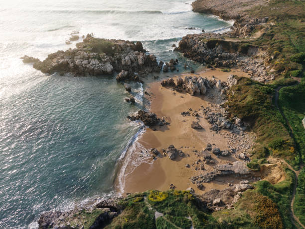 istock Aerial view of a small rocky beach 1313539197