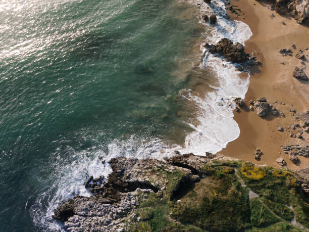 istock Aerial view of a small rocky beach 1313539276