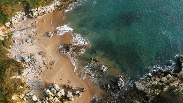 istock Aerial view of a small rocky beach 1313539310