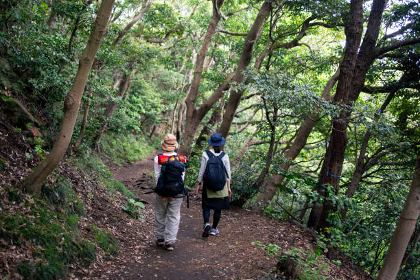 istock Japanese women hiking in forest 1313550824