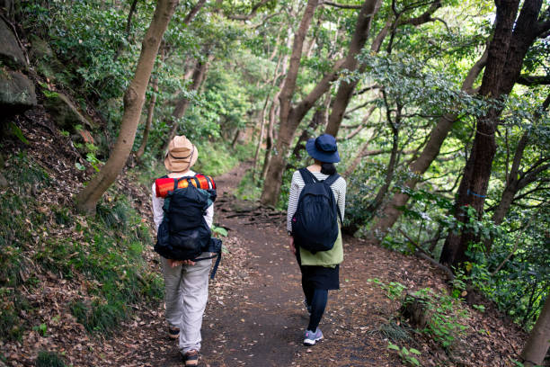 istock Japanese women hiking in forest 1313550902