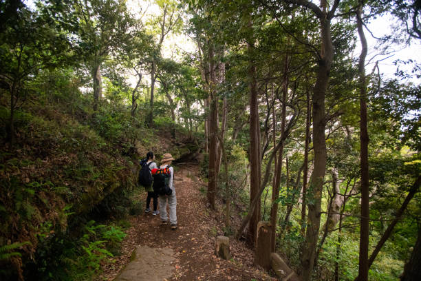 istock Female friends hiking in forest 1313550930