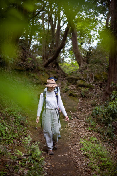 istock Japanese women hiking in forest 1313551005