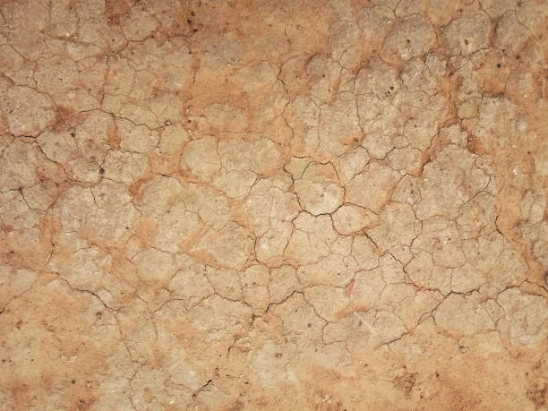 istock The ground has cracks in the top view for the background or graphic design 1313552707