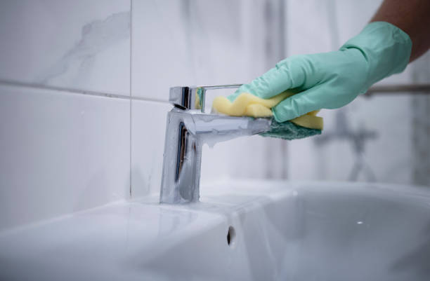 istock Cleaning the bathroom sink. 1313556007