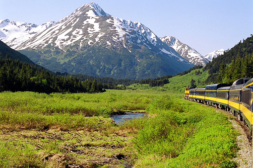 A gorgeous panorama of a train traveling through the snow capped mountains of Alaska, on the way to Denali National Park.